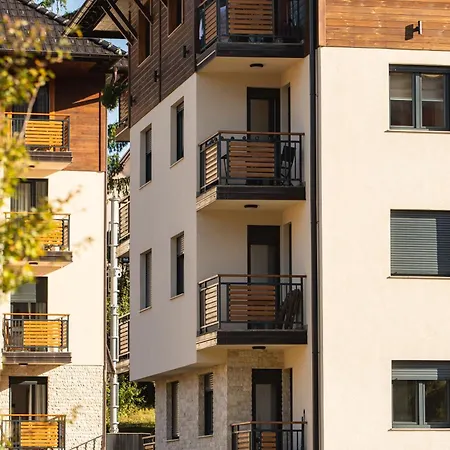 Georgijev Daire Zlatibor