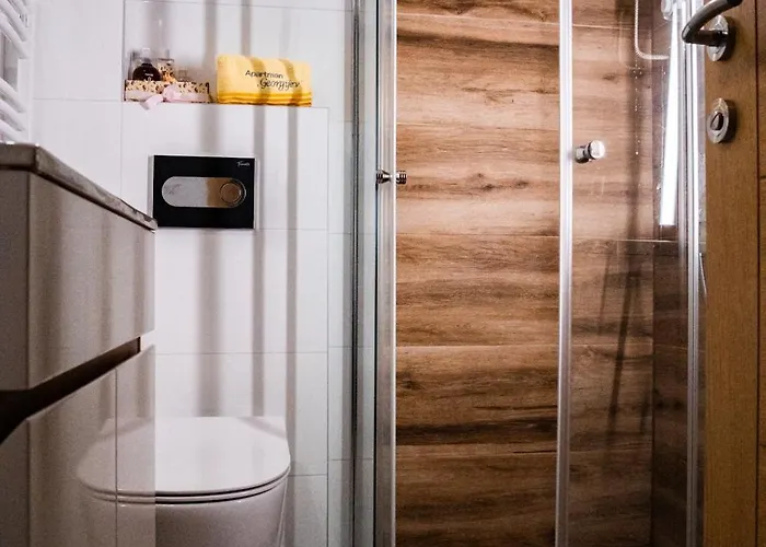 Georgijev * ズラティボール